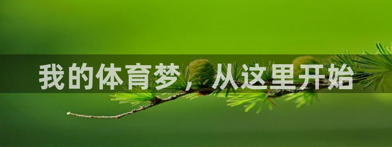 球客岛
