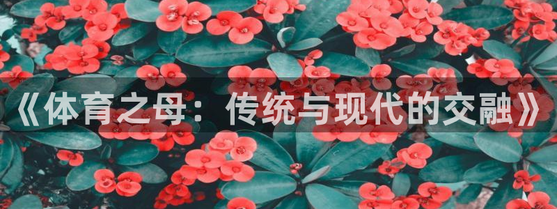 球客岛
