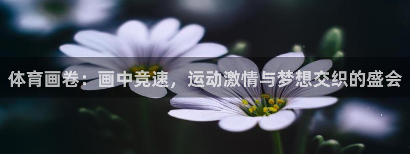 球客岛