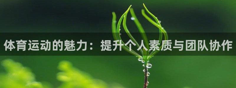 球客岛
