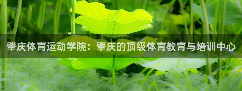 球客岛