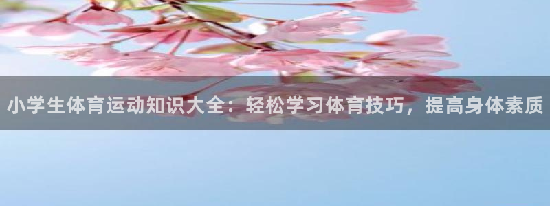 球客岛